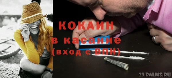 ПСИЛОЦИБИНОВЫЕ ГРИБЫ Алзамай