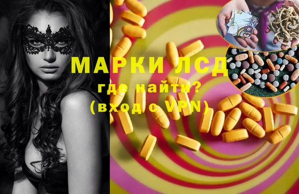 ПСИЛОЦИБИНОВЫЕ ГРИБЫ Алзамай