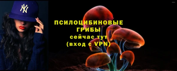 ПСИЛОЦИБИНОВЫЕ ГРИБЫ Алзамай