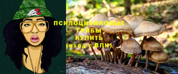 круглые Алексин