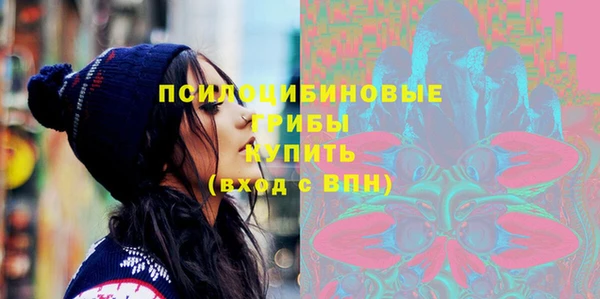 прущие грибы Киреевск