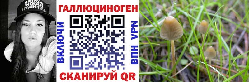 Галлюциногенные грибы Cubensis  Оленегорск 